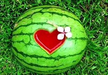 周公解梦梦见吃瓜,瓜果飘香，梦境中的甜蜜寓意